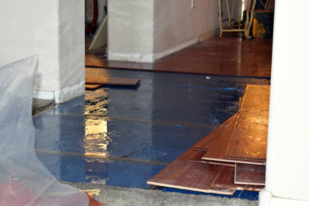 Professional Flood Cleanup technician working in Ray, MI